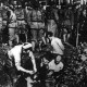 南京大屠杀是哪一天_南京大屠杀的历史事件