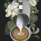 咖啡怎么制作_咖啡的制作过程