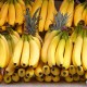怎么区分芭蕉和香蕉_芭蕉和香蕉的区分