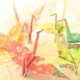 千纸鹤代表什么意思_千纸鹤的传说和寓意