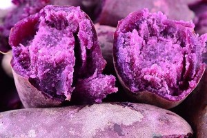 紫薯怎么种植_紫薯种植方法