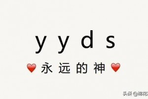 yyds是什么意思_yyds的含义
